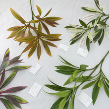 �羳����3����F�Gֲ���Լ٘��쾰�҃ȼҾ��b[���Ƶ�͏d�Gֲ