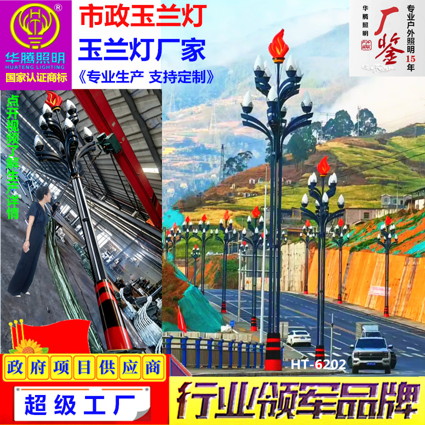 厂家定制市政玉兰灯广场多头景观路灯LED道路高杆组合中华路灯