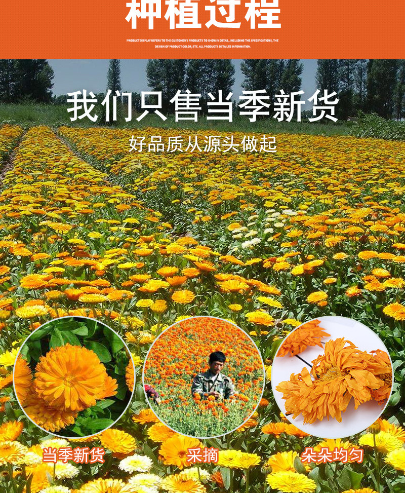 Calendula Flowers (Calendula officinalis) — Dried Golden Petals, 500g Loose Herbal Tea preparation