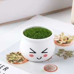 手工迷你小花盆小盆栽防摔塑料花盆迷你盆栽仿红陶仿瓷带泡沫植绒
