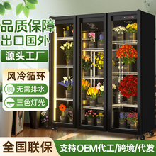 �r�����r�����ô������L���r�����䙙չʾ���o˪����