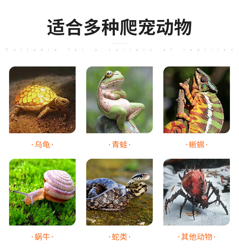 奇丽-详情页_12