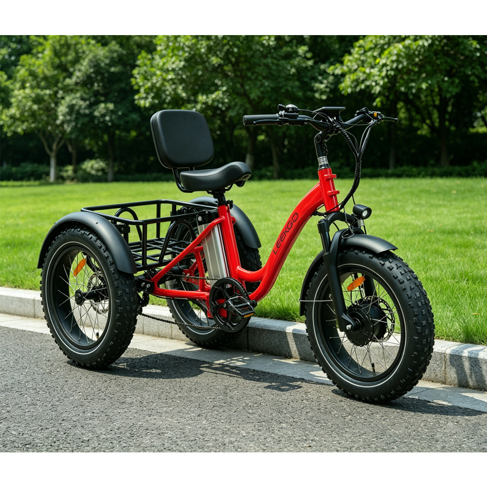 electric three-wheeled bike