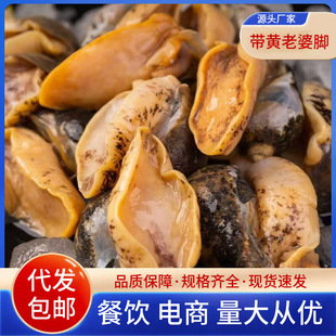 �U�~���r���ش�̖�����_���r����U�������_��̖�U�~�ݺ��rˮ�a