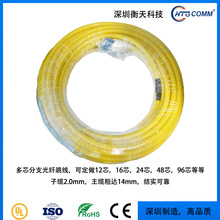 ��Ʒ�|16cores���w����Fiber Patchcord��ģSinglemode 10��β�w