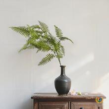 ?�GɫĪ�λ�c�廨�~����횲��J����ƺ��Y�����b����l�G�~