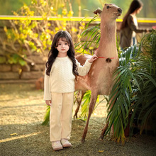 现货25年冬春新款中大童男女童复古学院风麻花针织圆领套头毛衣