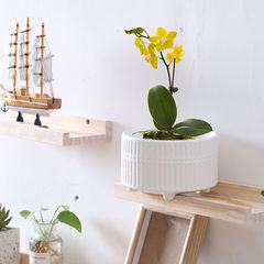 Cross-border ceramic flower pot with tray, minimalist home-use succulent pot, orchid and phalaenopsis pot—dropshipping available.