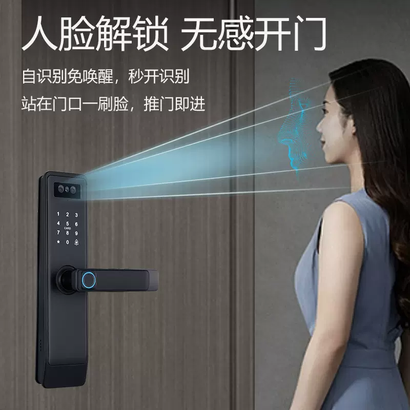 人脸开锁可视对讲指纹密码智能锁房间办公室涂鸦 wifi远程开锁