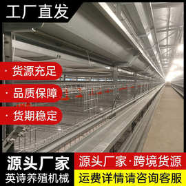 青年鸡笼 多层阶梯式蛋鸡笼 鸡笼子加粗 养殖笼具 养殖设备