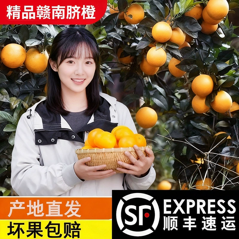 Authentic Jiangxi Gannan Navel Oranges Fresh Fruit Sweet Oranges Hand-Peeled Sweet Oranges 10kg Whole Box Directly Shipped from Origin Authentic Jiangxi Gannan Navel Oranges Fresh Fruit Sweet Oranges Hand-Peeled Sweet Oranges 10kg Whole Box Directly Shipped from Origin