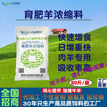 肉羊浓缩料32蛋白育肥期40kg用高吸收率动物畜牧饲料抗应激