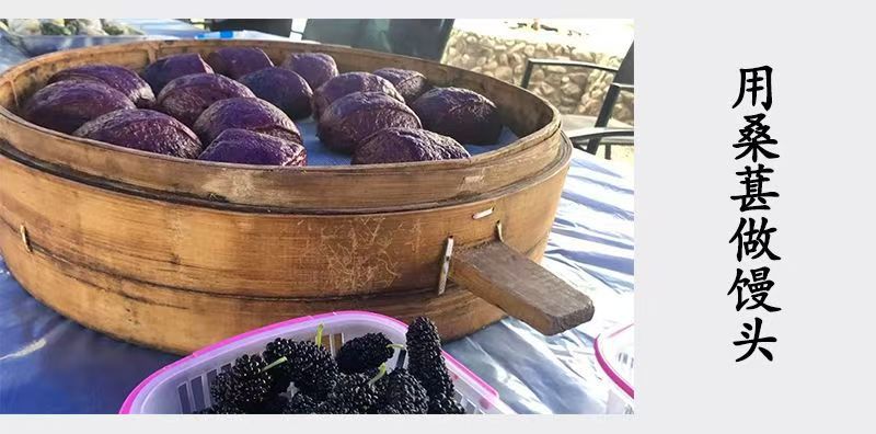 Dried Mulberry Fruit Sang Shen Zi 180g Jar Ready to Eat Snack for Daily Herbal Tea and Wellness in use