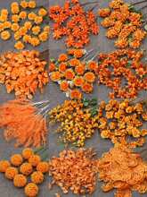 10֦�b��ɫϵ���滨�Ļ�c·���廨�����b�ˇ��Y�ٻ���ɫ��