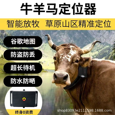 Satellite Tracking, Anti-Loss and Anti-Theft – GPS Locator