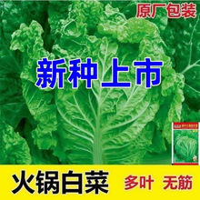 o~偲˷NӴײ˷NѴײ߲˷Nݸ߮aAﲥļ