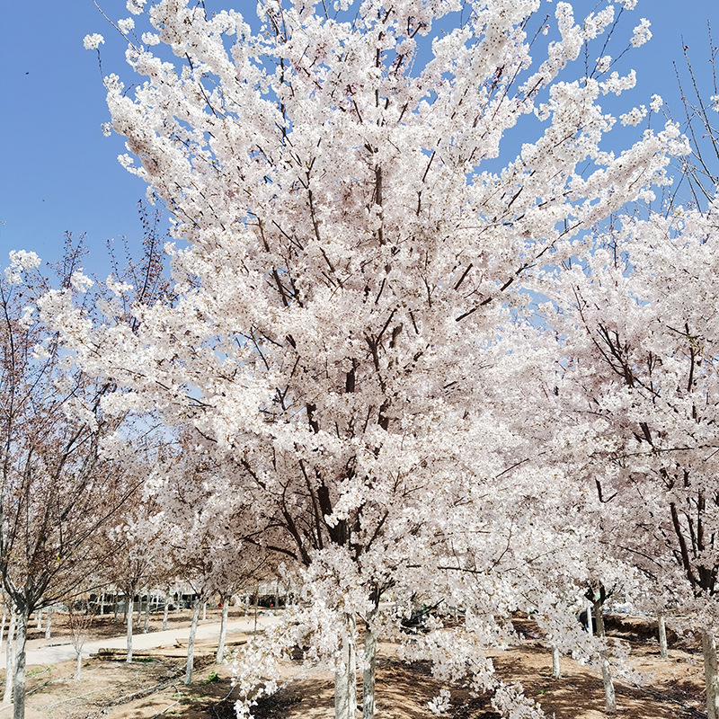 微信图片_20230818145201 副本.jpg