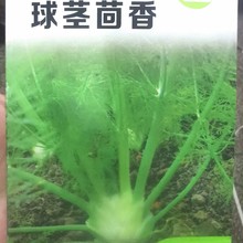 ����N�����o����N�����o������ļ����N�����̨�߲�����˷N��