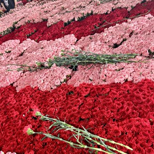 ����S���]����ɫ�tɫ����ܰ�r���r�л�ĸ�H�����Ļ������l�[��