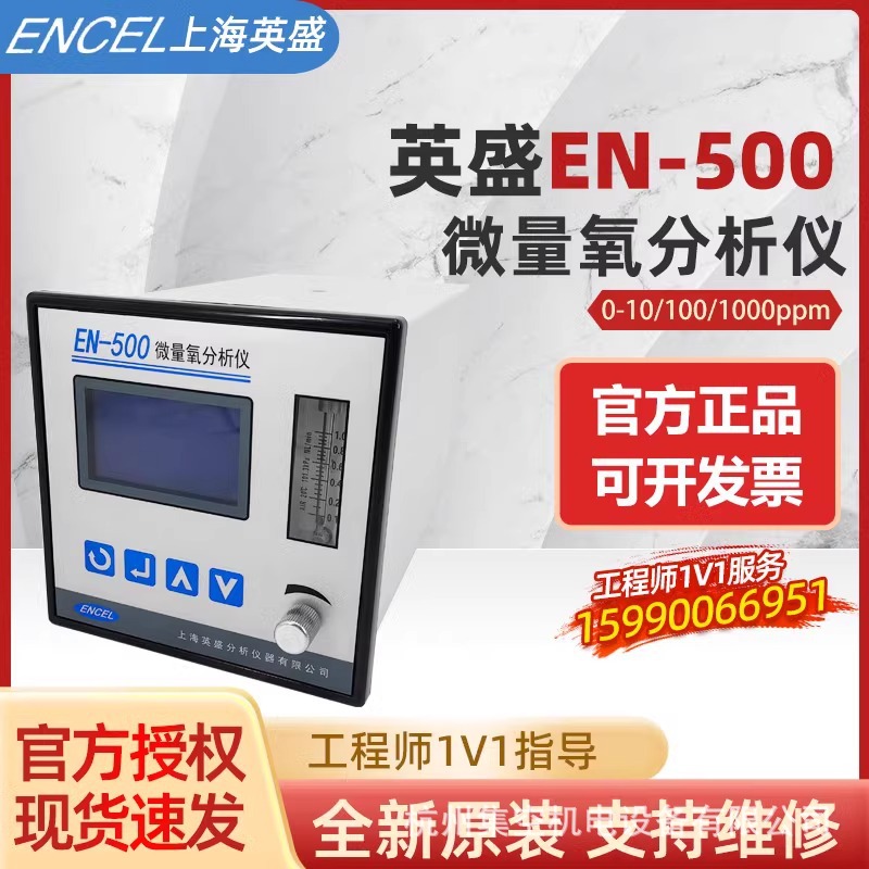 英盛氧化锆氧量分析仪检测仪氧气含量浓纯度测氧仪ZO-802/EN-500