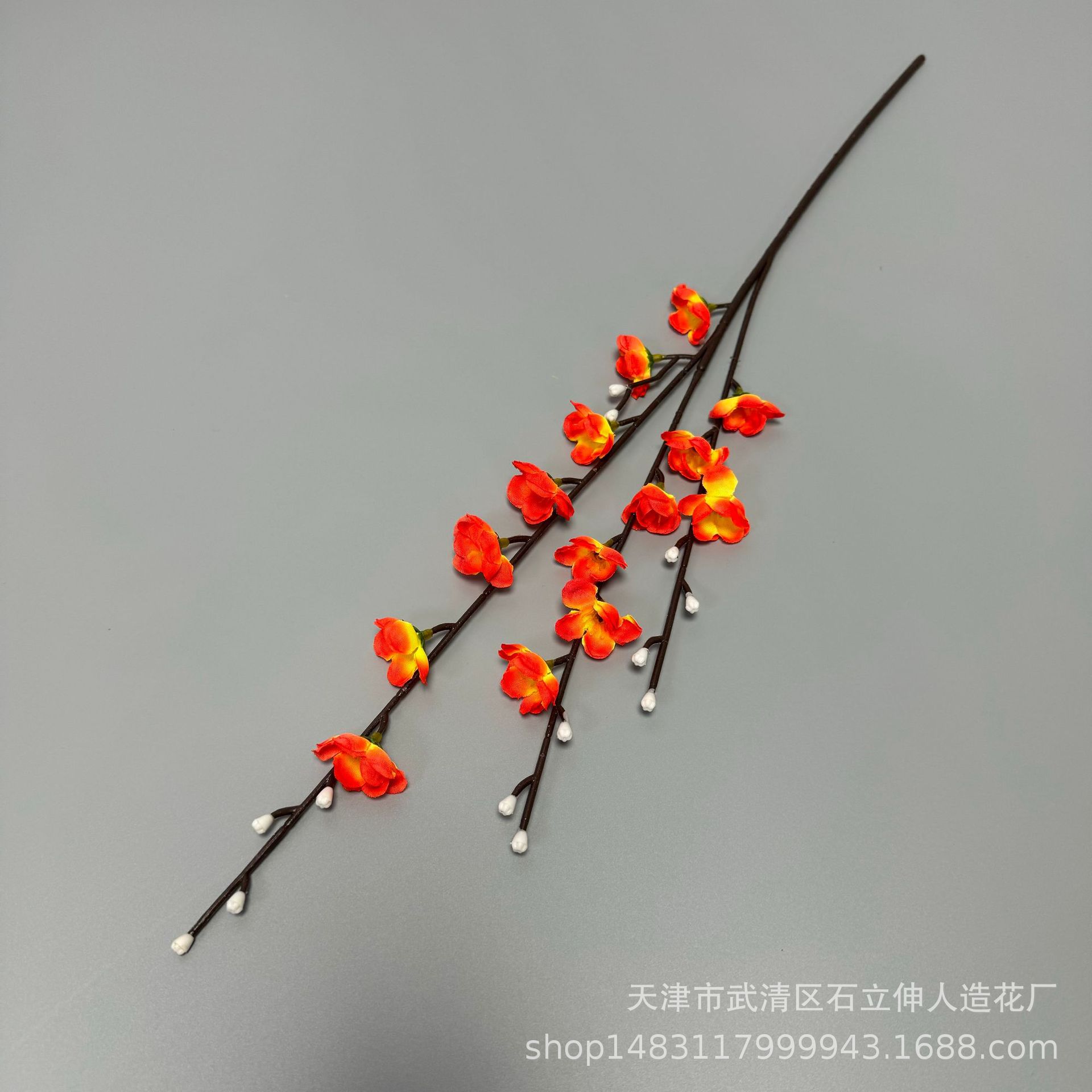 작은 3갈래 선셋 레드