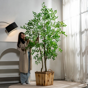 ���X���b߼��п͏d��ش�������ٻ���٘�Gֲ�������ҾӔ[�