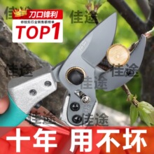 剪树枝专用剪刀枝剪家用花卉花剪园艺园林粗枝果树修枝剪修剪