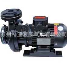 原装Aulank PUMP热油泵Manufacturing CO.,LTD 热水泵ALK-RGZ-10