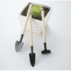 Gardening Set of Three Tools: Vegetable, Flower, and Succulent Planting Tools, Small Shovel, Flower Care Tools, Small Rake, Iron Trowel, Pot Plant Supplies