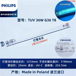 卤钨灯泡;镇流器;墙壁插座