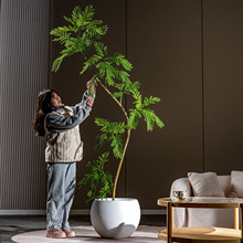 �{ɫ�Ļ������Gɫֲ����߶��p���҃ȿ͏d�b���ػ��������٘�