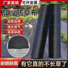 ��Ʒ���ݲ����@�����ڲݲ��w�ݲ�͸ˮ�����Ƭ���ݲ��s��ȫ�o