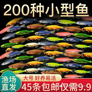 �Ꭷ�^�p�~�t�{�������R�~С�͵�ˮ�~�ɹ���R�~��ˮ�~�~���B