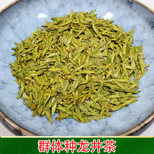 群体种龙井茶叶2023新茶浓豆香耐泡传统明前雨前高山绿茶批发直销