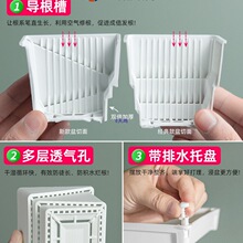 美莳控根多肉花盆长条形塑料透气小号方盆和营养土带托盘包邮
