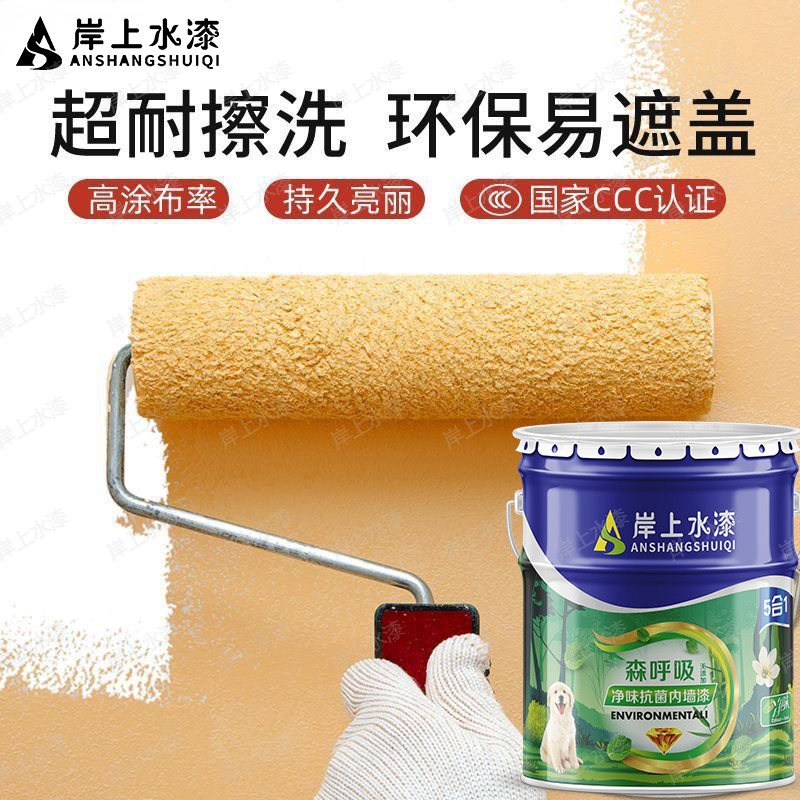Pintura de Látex para Pared Interior Base Agua Blanca Resistente al Agua