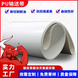 耐高温防粘PU输送带 白色蓝色食品级输送带 聚氨酯耐油传送带