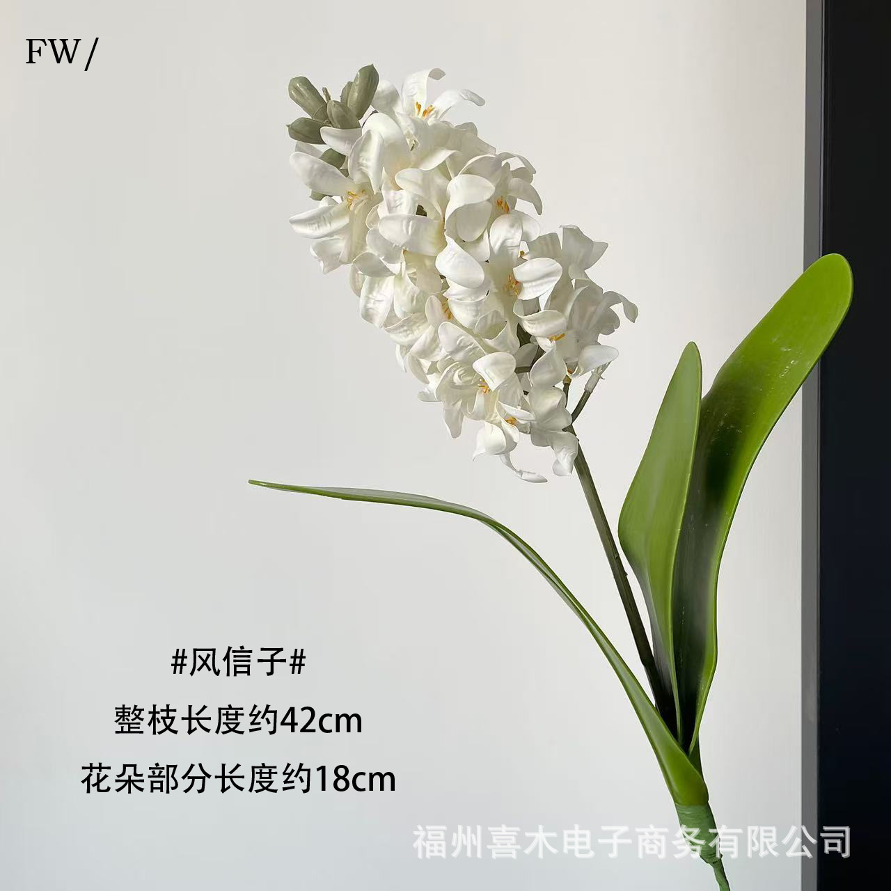 892663ffbd41091fa5e7a53872cd3f