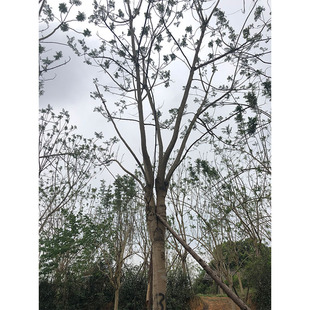 �{��� �ɶ��@�־G����ľ �^�p�� ���~�е��� �{���L���� ͥ�a��