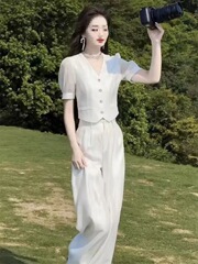 2025 夏のインターネットセレブの新しいファッションスーツ女性のフレンチ V ネックパフスリーブ通勤ショートトップ + スリムパンツ