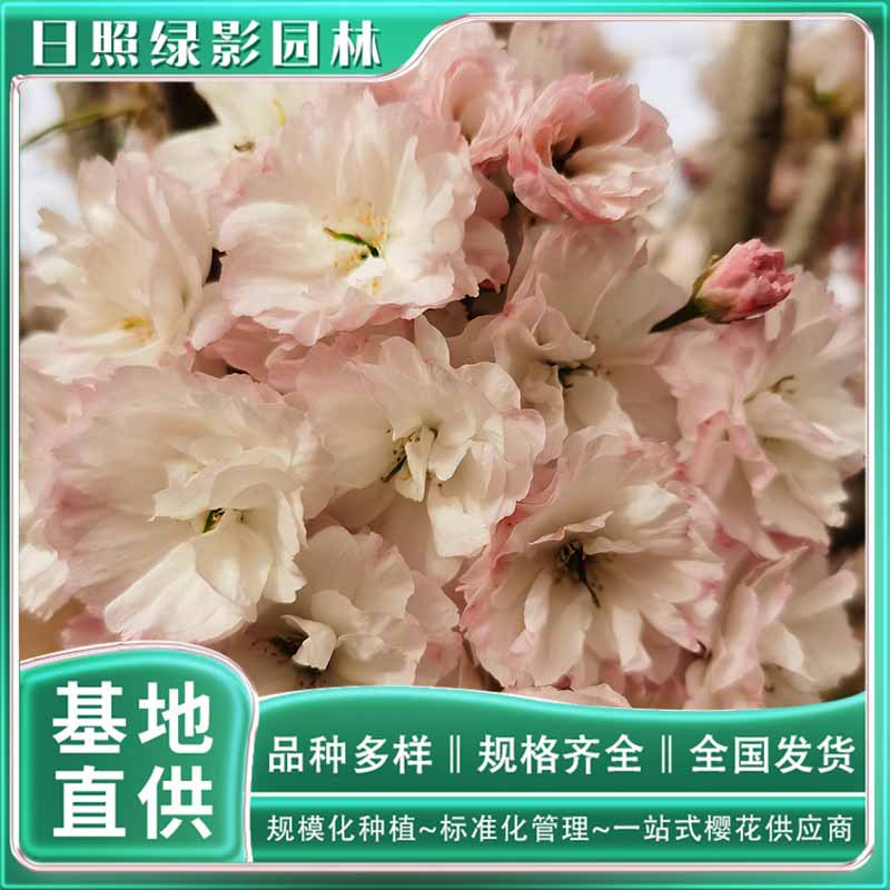 微信图片_20230818145518 副本.jpg