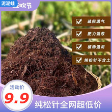 腐熟松针腐殖土天然有机营养土养花专用种菜土壤通用型腐叶种植土