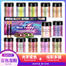 厂家现货 5克12色光学变色龙珠光粉随光而变塑料油墨流麻汽车改色