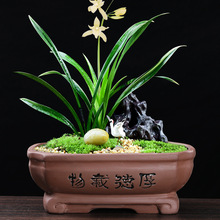 ��ɰ���賤���δ�ھ����ø��������쾰��������΢�������մ����