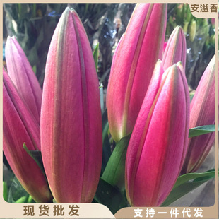 �ٺ���ˮ�r�������������õ�廨����ֱ�l���տ�ֱ������ͬ�����f