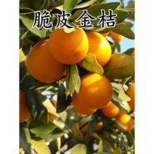 �����Ƥ�ۻ�Ƥ�����l�����޽�����X���������Ә��箔��Y��