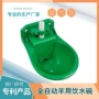 养羊新品自动浮球饮水碗
