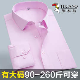 啄木鸟粉色衬衫男士长袖结婚商务休闲加大码伴郎免烫职业工装衬衣