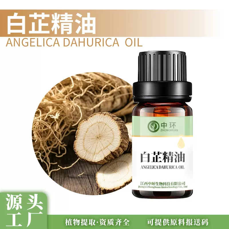 白芷油白芷精油植物单方精油化妆品原料提供报送码中药油厂家供应
