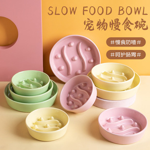 宠物喂食饮水器